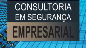 Consultoria em segurança empresarial.